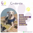 Cinderela