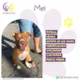 Mel :)