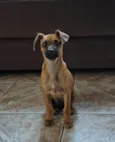 Mel
