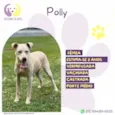 Polly
