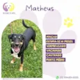 Matheus