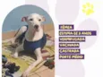 Cinderela