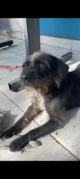Dora