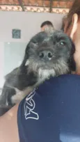Dora