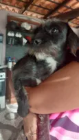 Dora