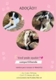 MARIELE, ANIELE E GLEISY