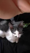 Sid