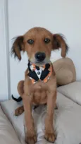 Francisco