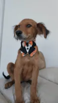 Francisco