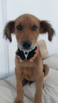 Francisco