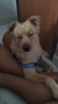 Bidu