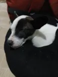 Não tem nome.