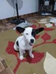 Não tem nome.
