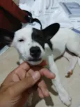 Não tem nome.
