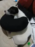 Não tem nome.
