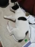 Não tem nome.
