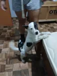 Não tem nome.