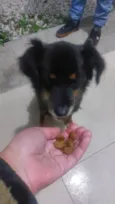 Juca e amora