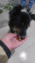 Juca e amora