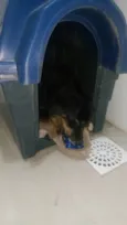 Juca e amora