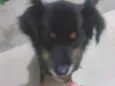 Juca e amora