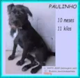 Paulinho