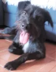 Paulinho