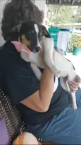 Paloma