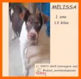 Melissa