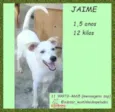 Jaime