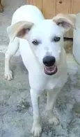 Jaime