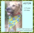 Astor