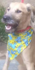 Astor