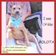Bolota