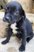 Marcos