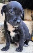 Marcos