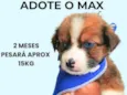 Max