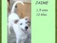 Jaime