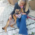 Pipoca