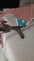 Zeus