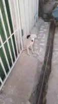 Lua