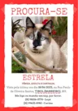 Estrela 