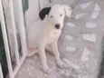 Lua