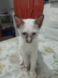 Mumu