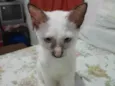 Mumu