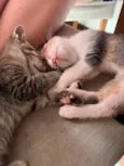 Maya & Mia