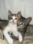 Maya & Mia