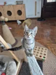 Mia
