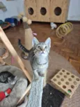 Mia