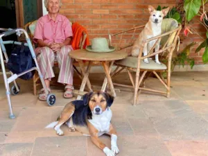 Cachorro raça SRD-ViraLata idade 6 ou mais anos nome Nino